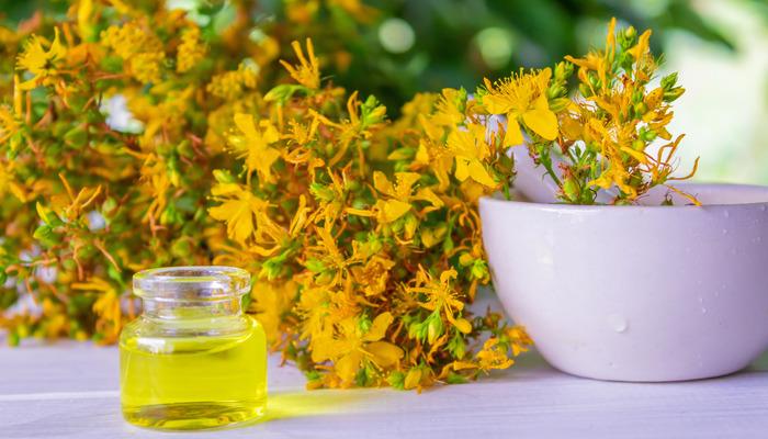 Sarı Kantaron’un faydaları nelerdir, ne işe yarar?  Depresyon için St. John’s wort nasıl kullanılır?