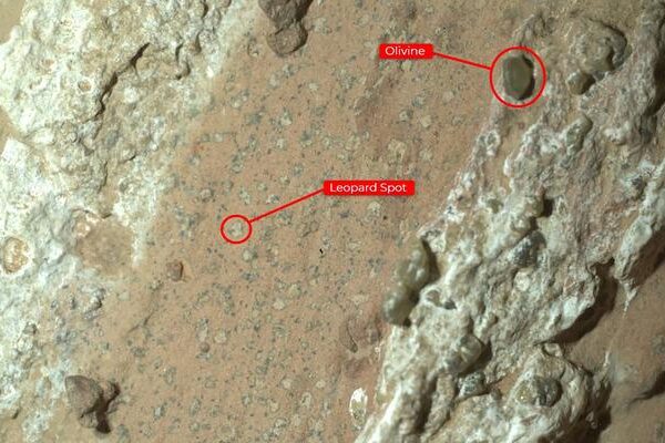 Mars’taki kayalarda heyecanlandıran keşif! NASA ‘gezegendeki en net yaşam belirtisi olabilir’ diye duyurdu