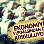 Ekonomiyi kötü etkilemesinden korkuluyor! Avrupa’da yeni salgın alarmı: Vakaların patladığı iki ülke harekete geçti