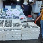 Karadeniz hamsisi tezgahları doldurdu – Bigpara Ekonomi Haberleri