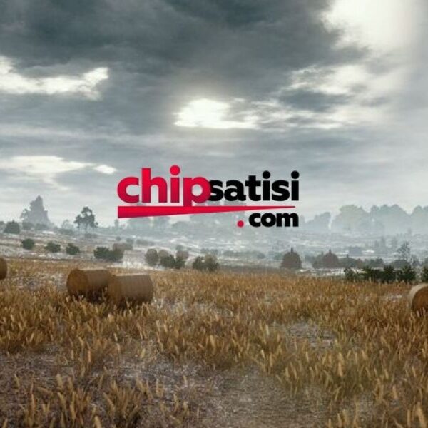 Zynga Poker Chip Tedarikinde Güven ve Hızın Adresi